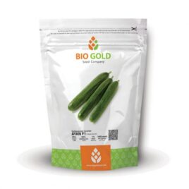 Parthenocarpic Cucumber Ayan F1 1000 Seed Pkt