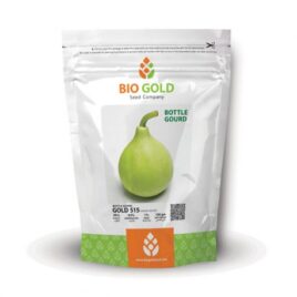 Kaddu Gold-515 (Bulb), 100g Pkt