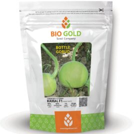 Hybrid Kaddu Kamal F1 (Round), 50g Pkt