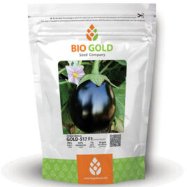Hybrid Brinjal Gold-517 F1, 10g Pkt