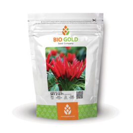 Hot Pepper Sky-210 F1, 10g Pkt