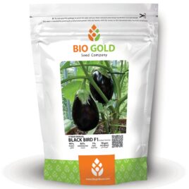 Hybrid Brinjal Black Bird F1, 10g Pkt