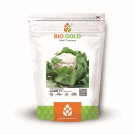 Hybrid Cauliflower Gilgit F1 10g Pkt