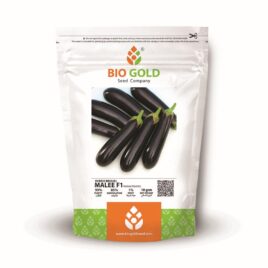 Hybrid Brinjal Malee F1, 10g Pkt