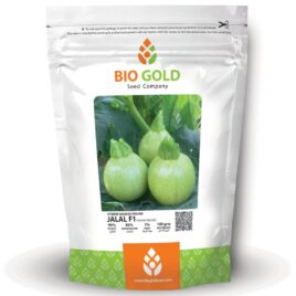 Hybrid Squash Jalal F1, 100g Pkt