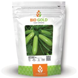 Hybrid Squash Selina F1, 100g Pkt