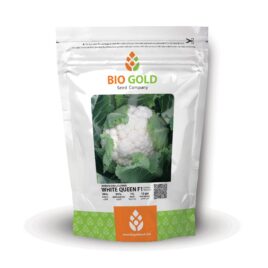 Hybrid Cauliflower White Queen F1 10g Pkt