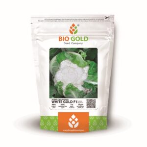 Hybrid Cauliflower White Gold F1 10g Pkt