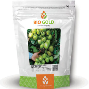 Hybrid Tomato BG-313 F1, 2500 Seeds