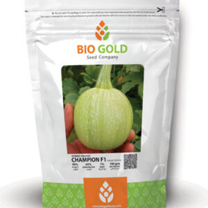 Hybrid Squash Champion F1, 100g Pkt