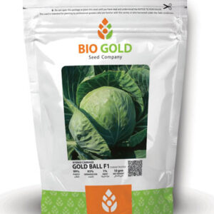 Hybrid Cabbage Gold Ball F1, 10g Pkt
