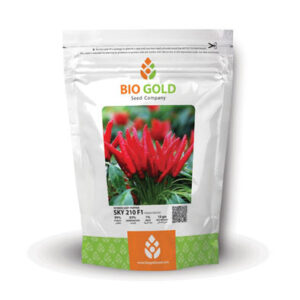 Hot Pepper Sky-210 F1, 10g Pkt