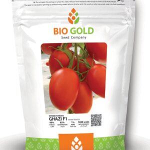 Hybrid Tomato Ghazi F1, 5000 Seed Pkt