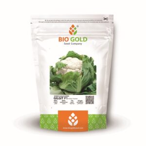 Hybrid Cauliflower Gilgit F1 10g Pkt