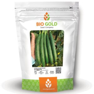 Hybrid Spongegourd 1150 F1, 50g Pkt