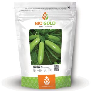 Hybrid Squash Selina F1, 100g Pkt