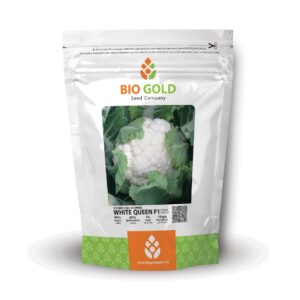 Hybrid Cauliflower White Queen F1 10g Pkt